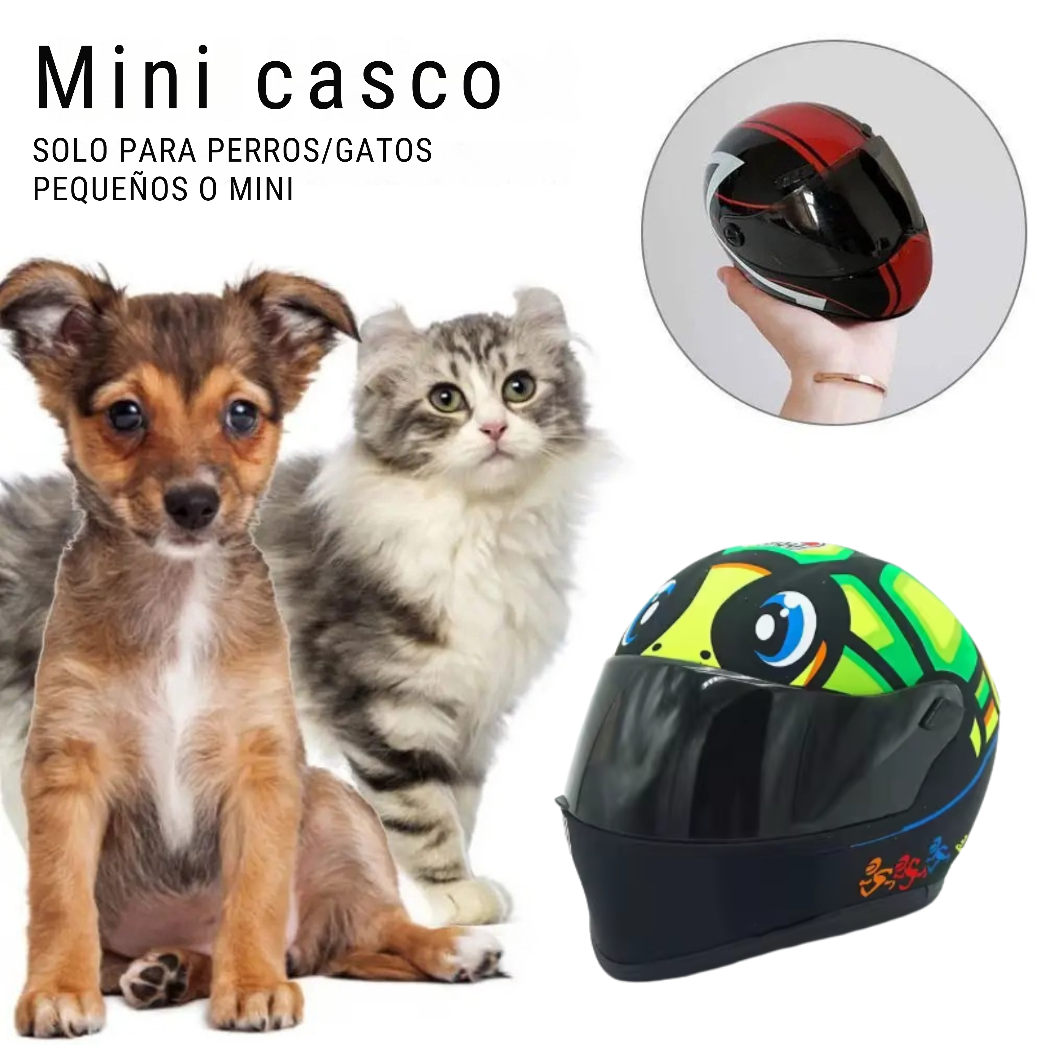 Mini Casco AGV Turtle